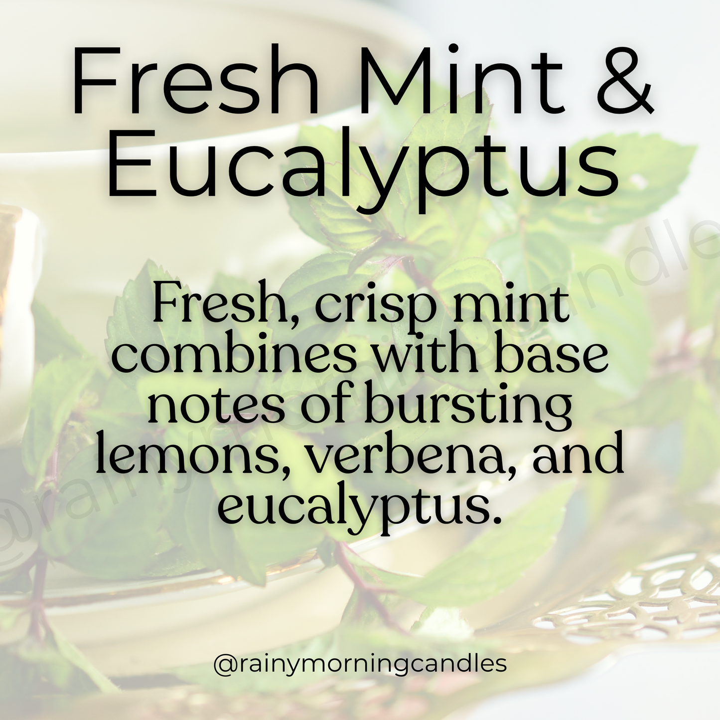 Fresh Mint & Eucalyptus Snap Bar Wax Melts