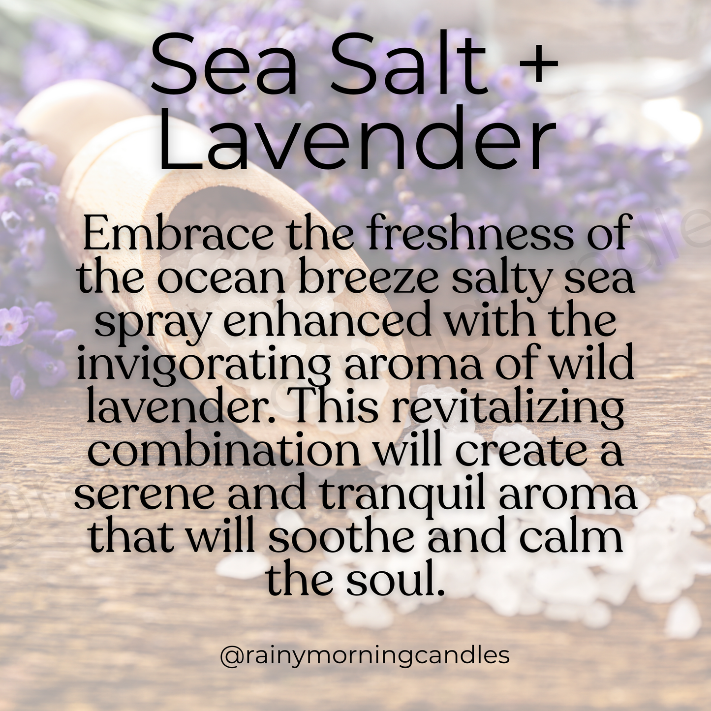 Sea Salt + Lavender Snap Bar Wax Melts